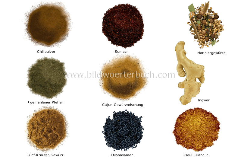 Gewürze Bild