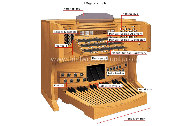 Orgel Bild