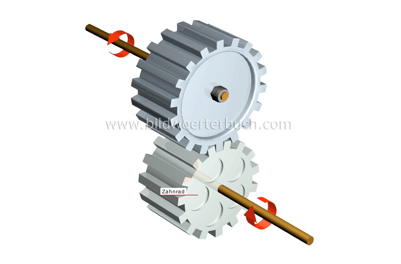 Stirnradgetriebe Bild